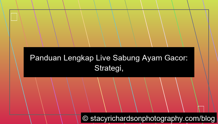 live sabung ayam gacor