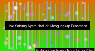 live sabung ayam hari ini