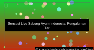 ilustrasi live sabung ayam indonesia