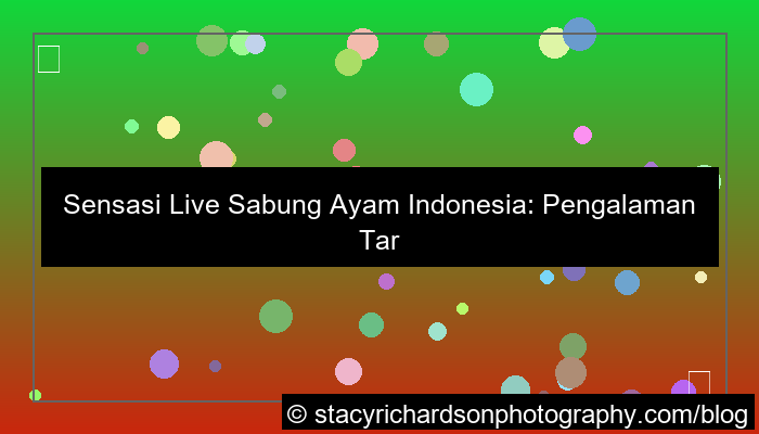 ilustrasi live sabung ayam indonesia