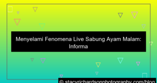 desain live sabung ayam malam