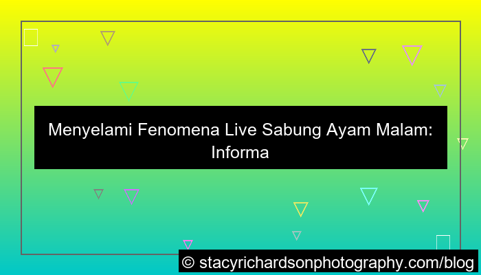 desain live sabung ayam malam
