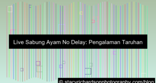 gambar live sabung ayam no delay