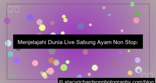 desain live sabung ayam non stop
