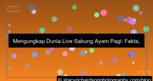ilustrasi live sabung ayam pagi