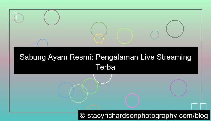 gambar live sabung ayam resmi