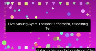 live sabung ayam thailand