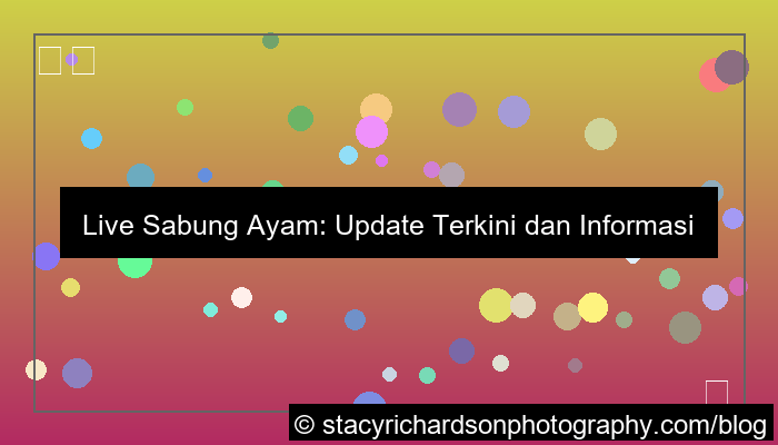 live sabung ayam update