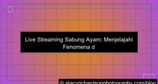 live streaming sabung ayam