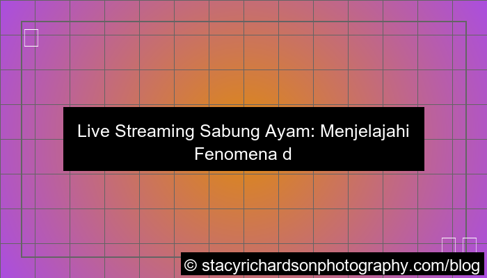 live streaming sabung ayam