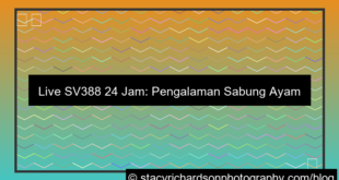 live sv388 24 jam