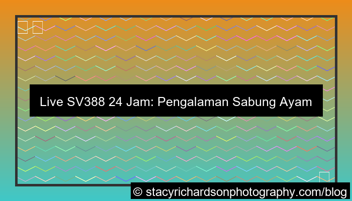 live sv388 24 jam