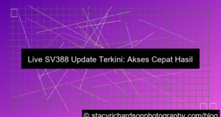 visual live sv388 update