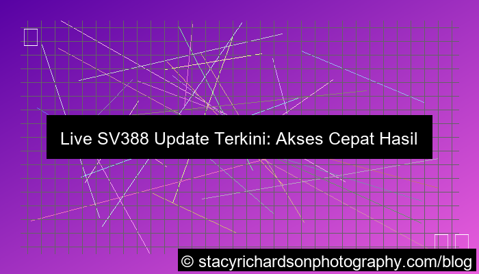 visual live sv388 update