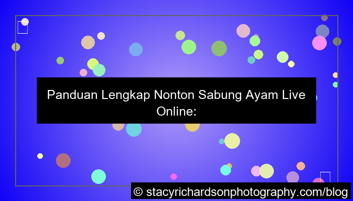 nonton sabung ayam live