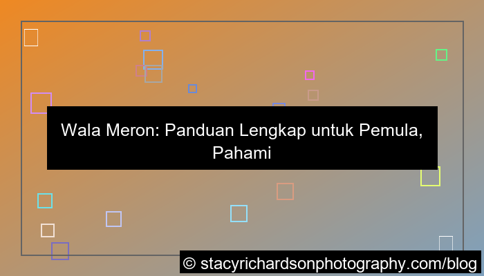 panduan pemula wala meron
