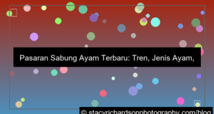 pasaran sabung ayam terbaru