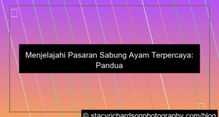 pasaran sabung ayam terpercaya