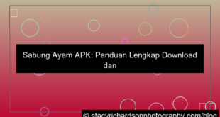 sabung ayam apk
