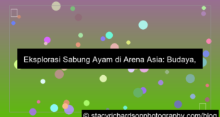 sabung ayam arena asia
