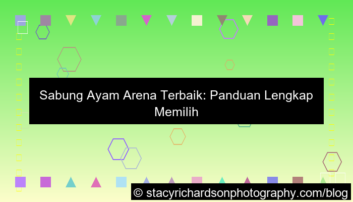 sabung ayam arena terbaik