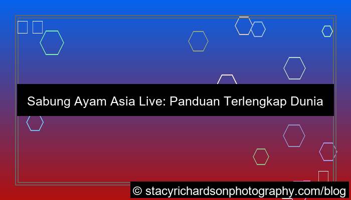 sabung ayam asia live