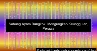 visual sabung ayam bangkok