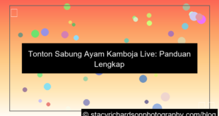 sabung ayam cambodia live