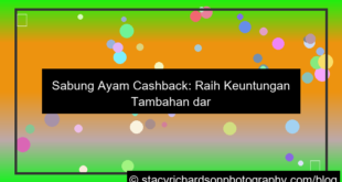sabung ayam cashback