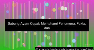 ilustrasi sabung ayam cepat