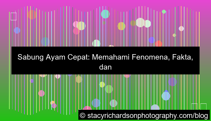 ilustrasi sabung ayam cepat