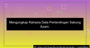 sabung ayam data pertandingan