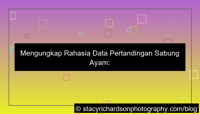 sabung ayam data pertandingan