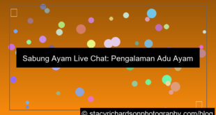 sabung ayam dengan live chat