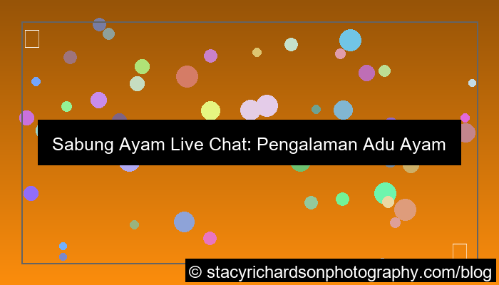 sabung ayam dengan live chat