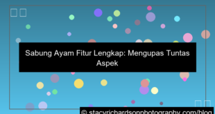 sabung ayam fitur lengkap