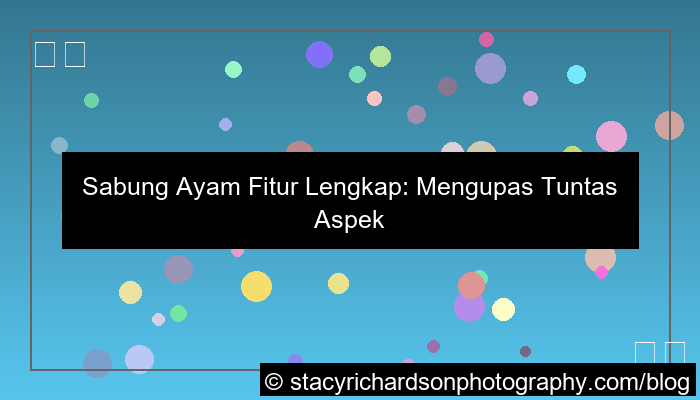 sabung ayam fitur lengkap