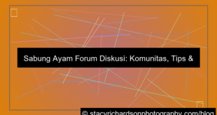 gambar sabung ayam forum diskusi