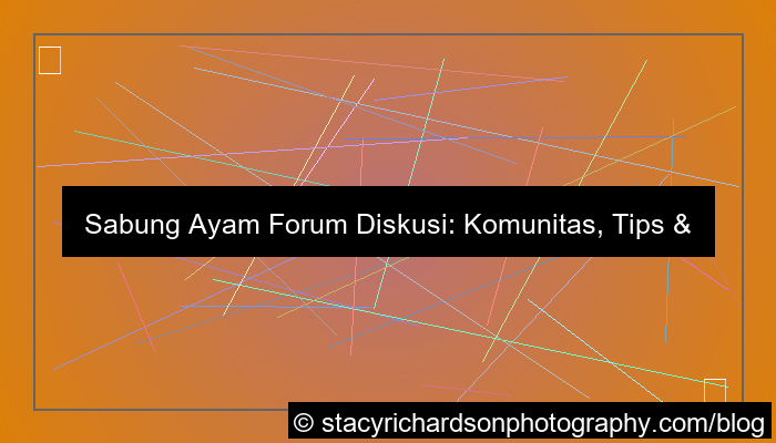 gambar sabung ayam forum diskusi