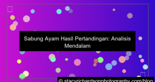 ilustrasi sabung ayam hasil pertandingan