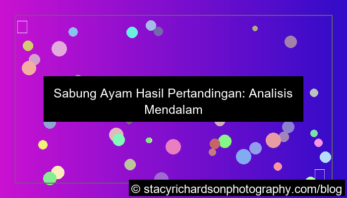 ilustrasi sabung ayam hasil pertandingan