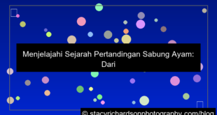 desain sabung ayam histori pertandingan