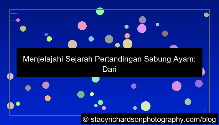 desain sabung ayam histori pertandingan