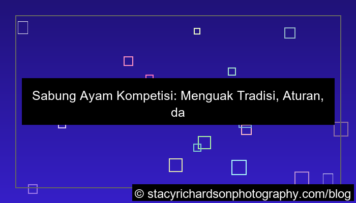 sabung ayam kompetisi