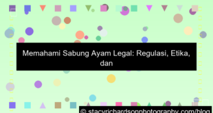 gambar sabung ayam legal