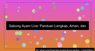 grafik sabung ayam live