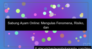visual sabung ayam online