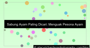sabung ayam paling dicari
