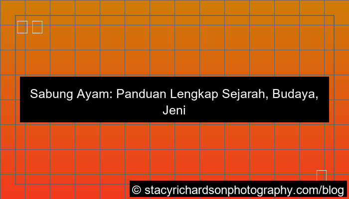 sabung ayam panduan lengkap