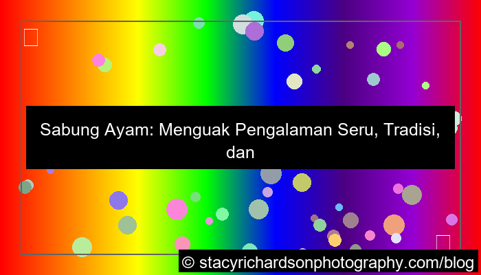 sabung ayam pengalaman seru